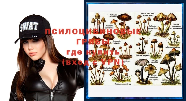 мяу мяу мука Алексин