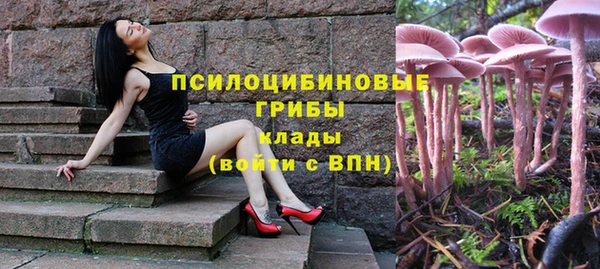 мяу мяу мука Алексин